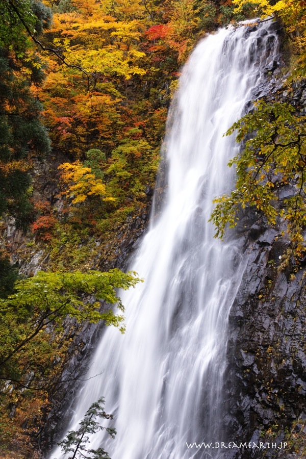 立又渓谷　一の滝の紅葉