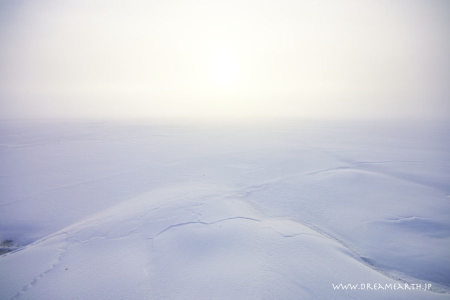 霞む和琴半島の霧氷