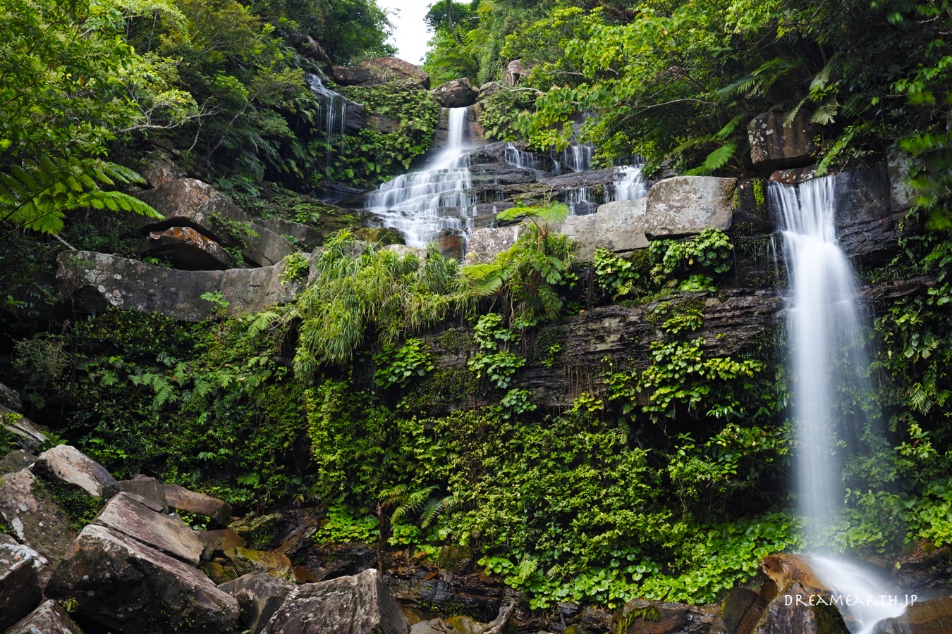 西表島・ゲータの滝